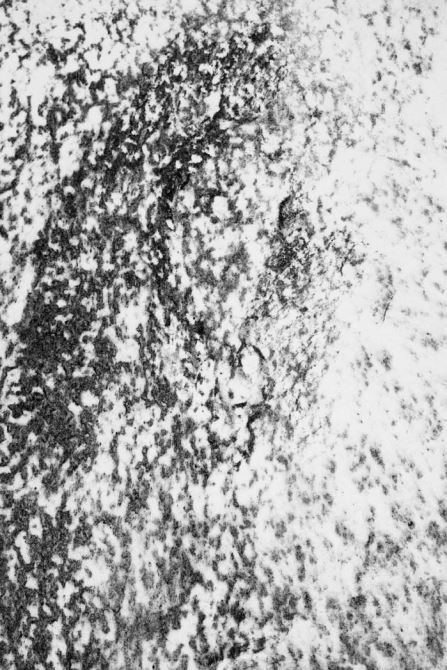 image01