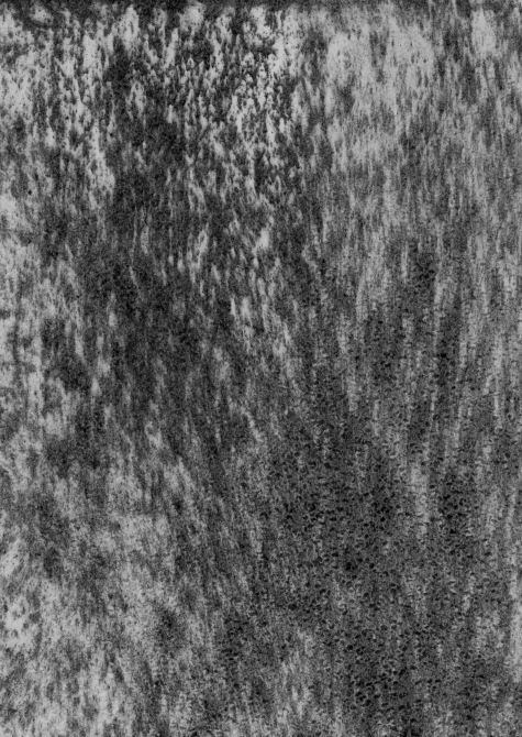 image09